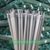 Wooden-Broom-Handle